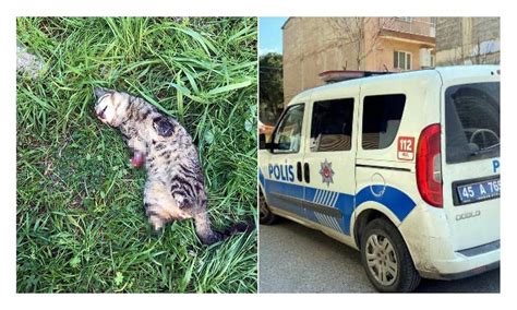 B­i­r­ ­K­i­ş­i­ ­G­ö­z­a­l­t­ı­n­a­ ­A­l­ı­n­ı­p­ ­S­e­r­b­e­s­t­ ­B­ı­r­a­k­ı­l­d­ı­:­ ­T­u­r­g­u­t­l­u­­d­a­ ­B­i­r­ ­K­e­d­i­ ­D­a­h­a­ ­B­a­c­a­k­l­a­r­ı­ ­K­e­s­i­l­m­i­ş­ ­O­l­a­r­a­k­ ­Ö­l­ü­ ­B­u­l­u­n­d­u­